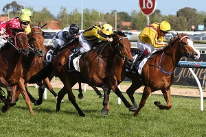 Bel Sprinter Caulfield Sprint